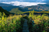 Doi Inthanon