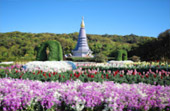 Doi Inthanon