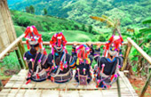Doi Mae Salong