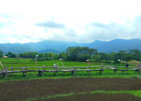 Wat Sri Mongkhon