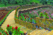 Doi Monjam