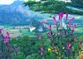 Phu Lang Ka
