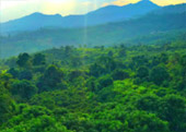 Phu Lang Ka