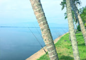 Kwan Payao