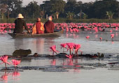 Kwan Payao