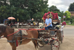 Horse-drawn carriage