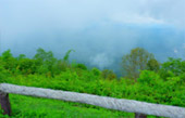 Doi Samer Dao