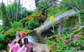 Doi Pui