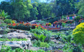 Doi Pui
