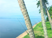 Kwan Phayao