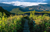 Doi Inthanon