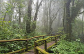 Doi Inthanon