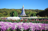 Doi Inthanon