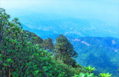 Doi Inthanon