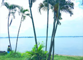 Kwan Phayao