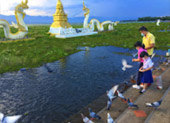 Kwan Phayao