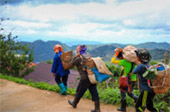 Doi Mae Salong