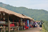 Doi Mae Salong