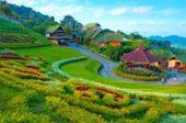 Doi Mae Salong