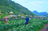 Doi Ang-Khang