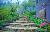 Doi Ang-Khang