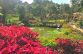 Doi Ang-Khang