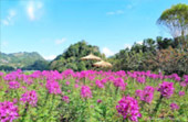 Doi Ang-Khang