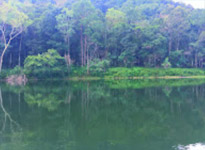Pang Ung