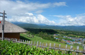 Yun Lai Viewpoint