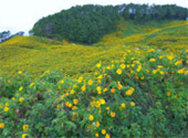 Doi Mae U-Kho