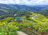 Doi Mae U-Kho