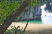 Hong Island