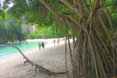 Hong Island