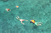 Phi Phi Island