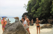 Phi Phi Island
