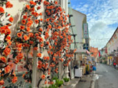 Phuket Old Town: Culture