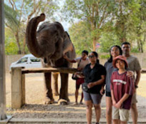Elephants Camp