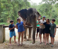Elephants Camp