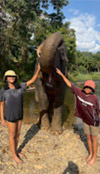 Elephants Camp
