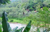 Rope Bridge Walking and Zip Line
