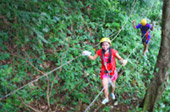 Rope Bridge Walking and Zip Line