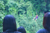 Rope Bridge Walking and Zip Line