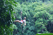 Rope Bridge Walking and Zip Line