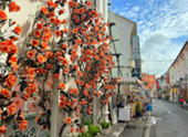 Phuket Old Town: Culture