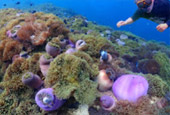 Mattra Island