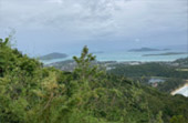 Around Phuket Town