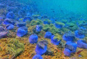 Mattra Island