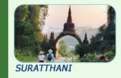 Suratthani