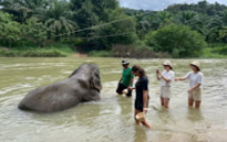 Two Days Overnight in Jungle