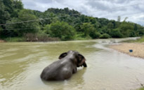 Two Days Overnight in Jungle